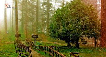 Dhanaulti Tour Package